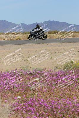 media/Mar-12-2023-SoCal Trackdays (Sun) [[d4c8249724]]/Turn 15 Inside Bloom (130pm)/